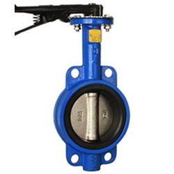 VAN BƯỚM TAY GẠT DN100